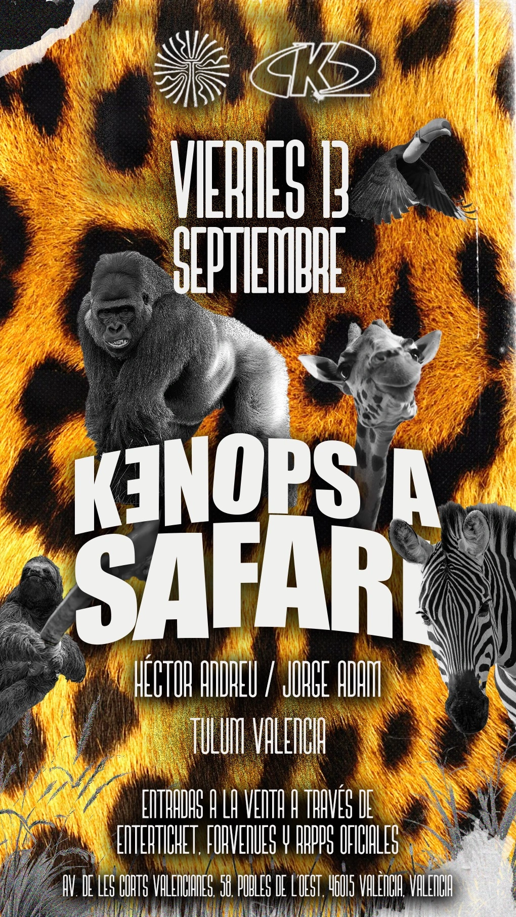 CARTEL DE FIESTA REGGAETON PARA DISCOTECA
